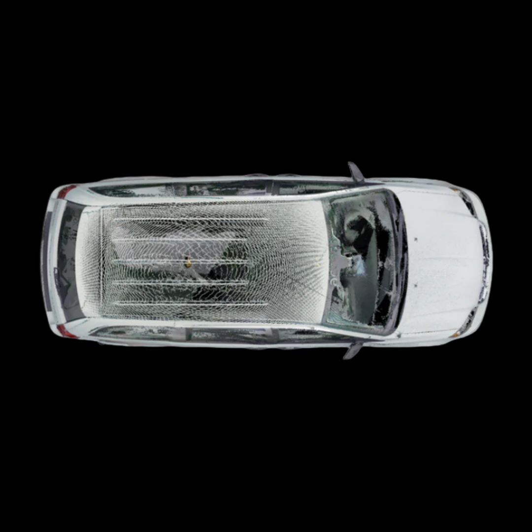 Dodge Grand Caravan Mobility Van 2019
